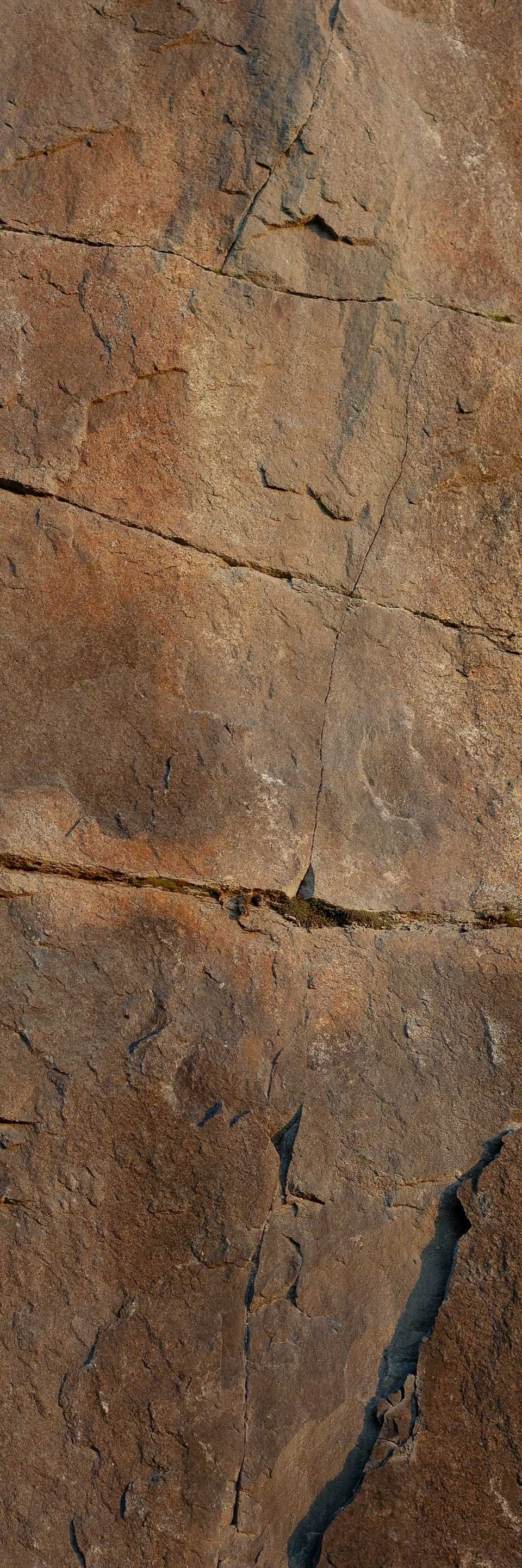 Close-up of a cracked, textured brown rock surface showing natural patterns and earthy tones.