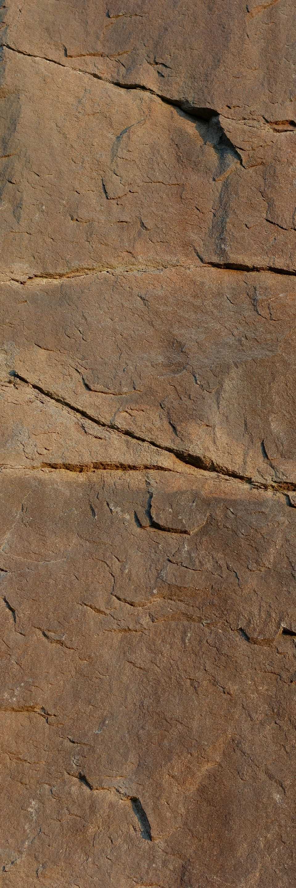 Close-up of weathered, cracked brown rock surface with visible layers and textures.